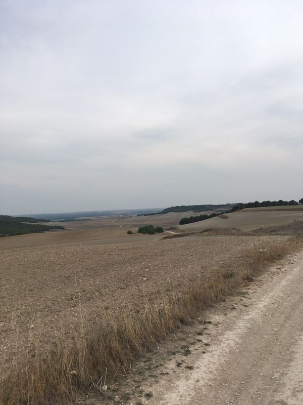 Tordesillas-Bercero-Tordesillas