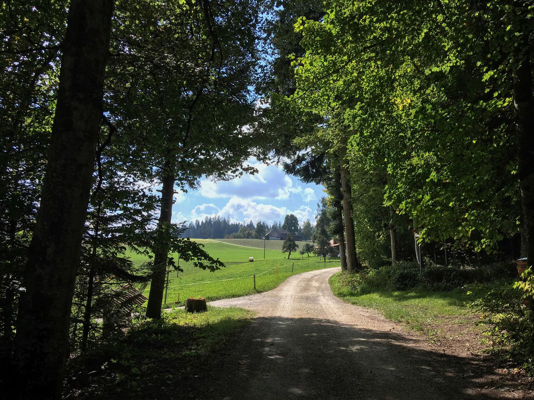 Mänziwilegg - Löchlibad
