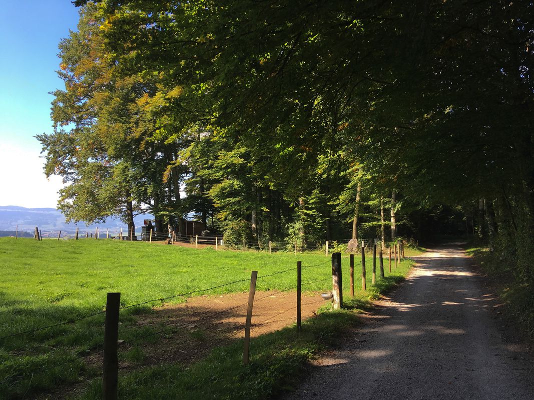 Mänziwilegg - Löchlibad