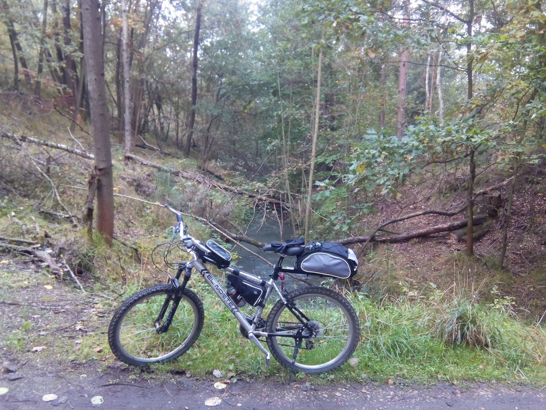 2017 Tychy pętla reverse GPX