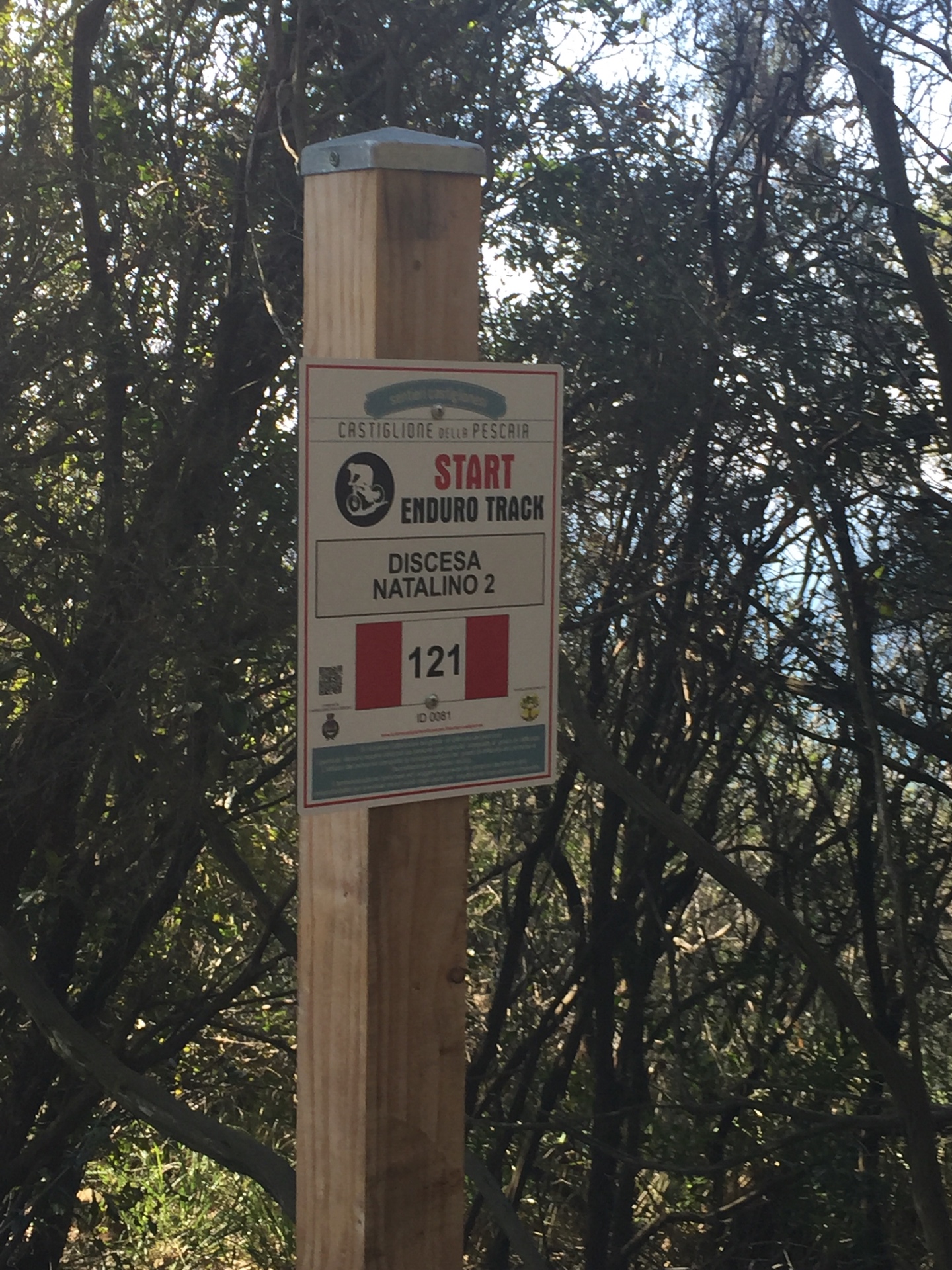 Punto saliente 2 lungo il percorso Bikemap "Enduro Discesa 121"