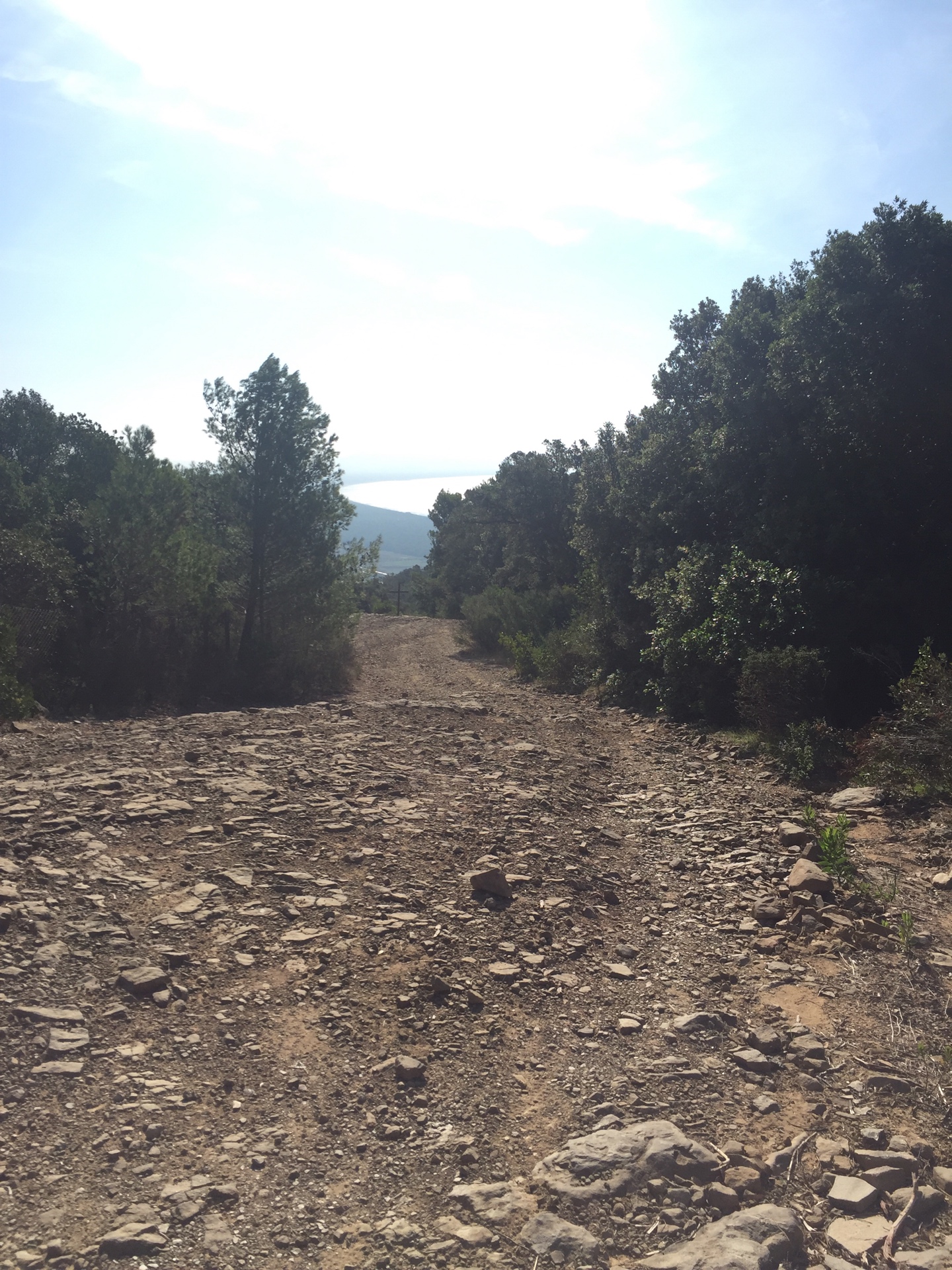 Punto saliente 1 lungo il percorso Bikemap "Enduro Discesa 121"