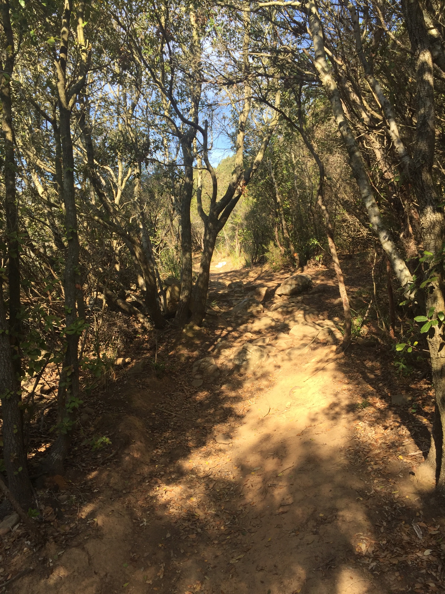 Punto saliente 3 lungo il percorso Bikemap "Enduro Discesa 121"