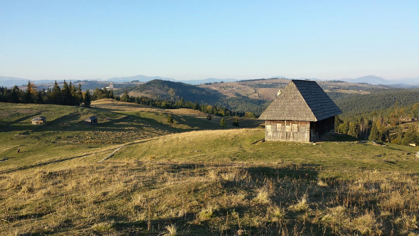 2017G-28sept Colibita