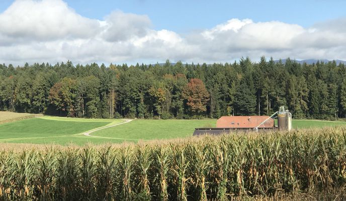 Foto 2 der Bikemap-Route "Zofingen-Strengelbach-Vordemwald-St.Urban-Roggwil-Wynau-Murgenthal-Rothrist-Oftringen-Zofingen"