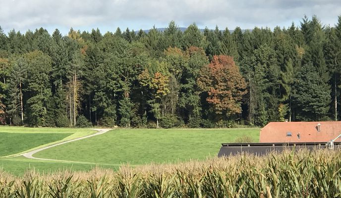 Foto 1 der Bikemap-Route "Zofingen-Strengelbach-Vordemwald-St.Urban-Roggwil-Wynau-Murgenthal-Rothrist-Oftringen-Zofingen"