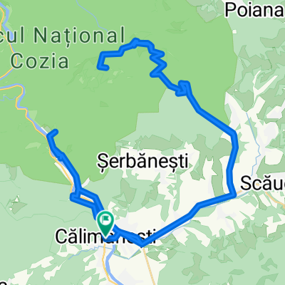 Cozia