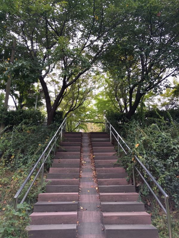 to coffee, the park and along the water