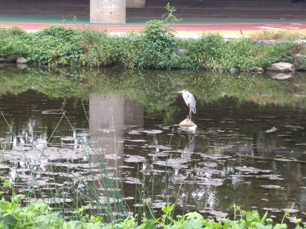 to coffee, the park and along the water