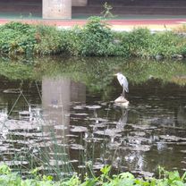 to coffee, the park and along the water