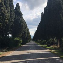 Tuscany - Cecina towards Piombimo