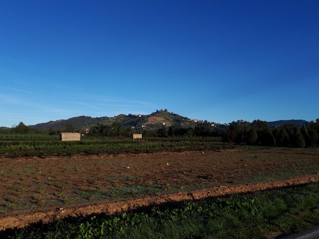 tour mattutino
