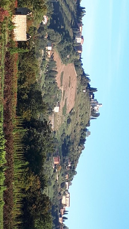 tour mattutino