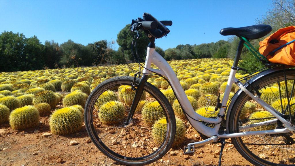 Mallorca: ses Salines-Santanyí-es Llombards-ses Salines-Colònia de Sant Jordi-ses Salines
