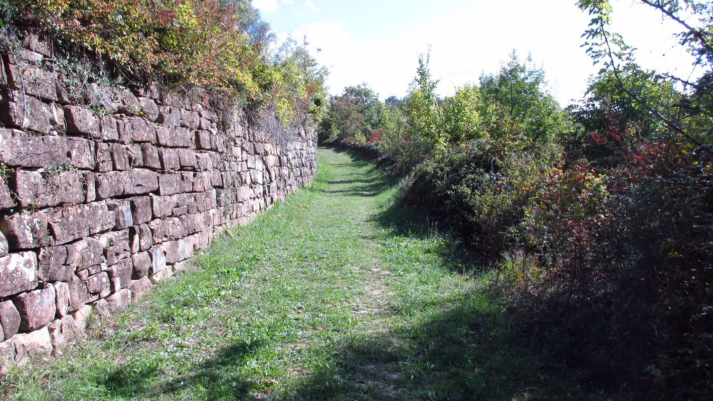 Hude bližnjice 2