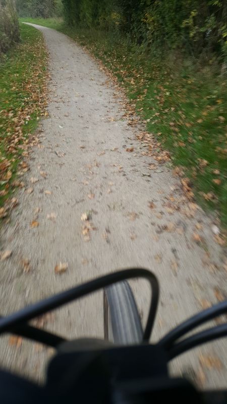 bike tour through Dudley Wood