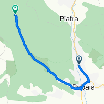manastirea robaia