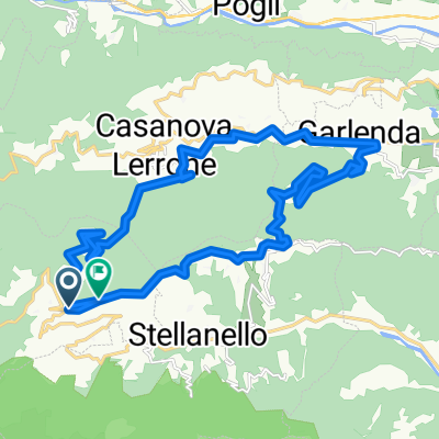 anello testico