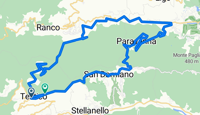 anello testico
