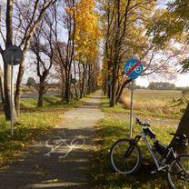 2017 Chełm Śl., Wola, Góra