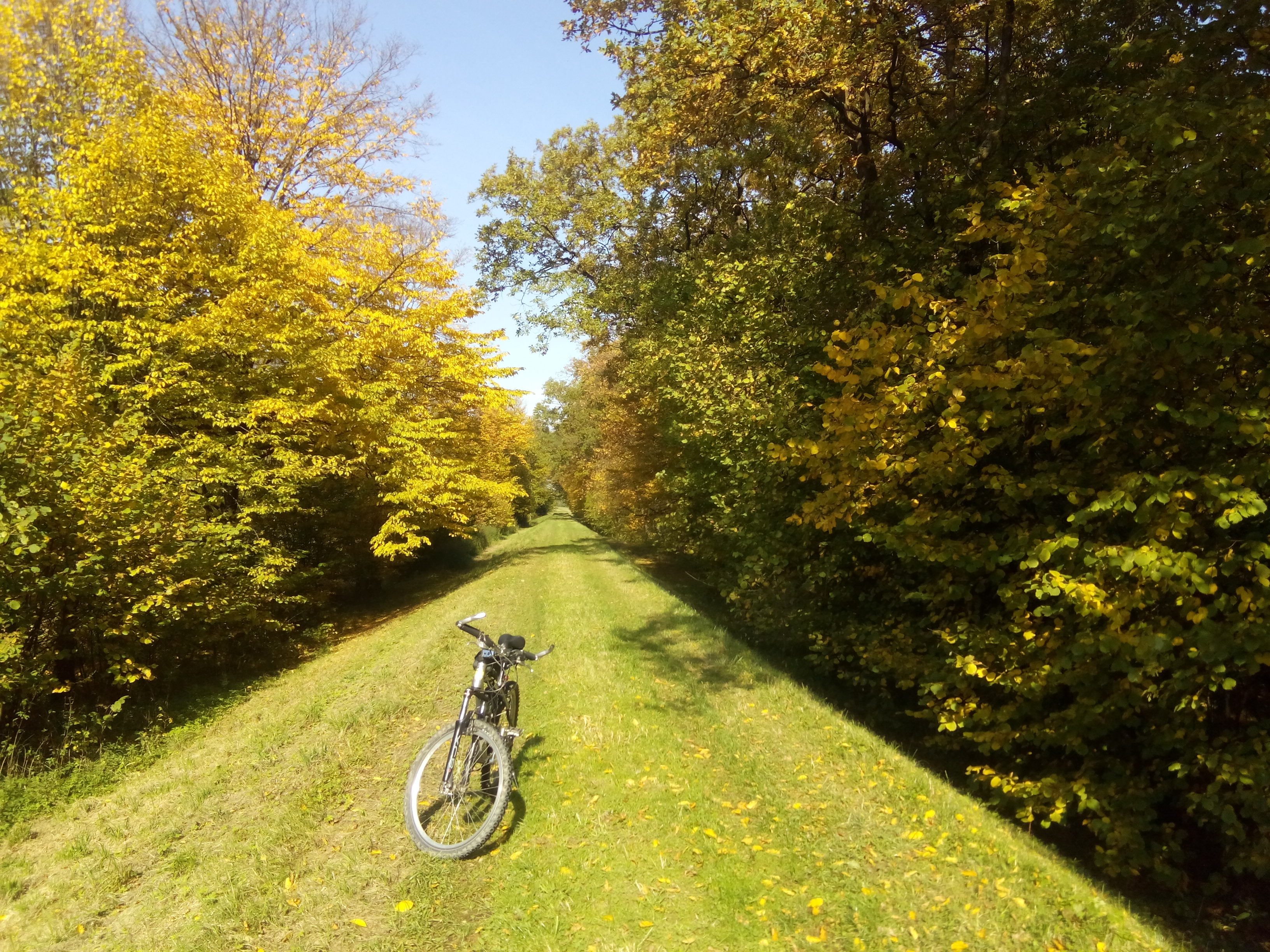 Hebe Bild 1 entlang der Bikemap-Route "2017 Chełm Śl., Wola, Góra" hervor