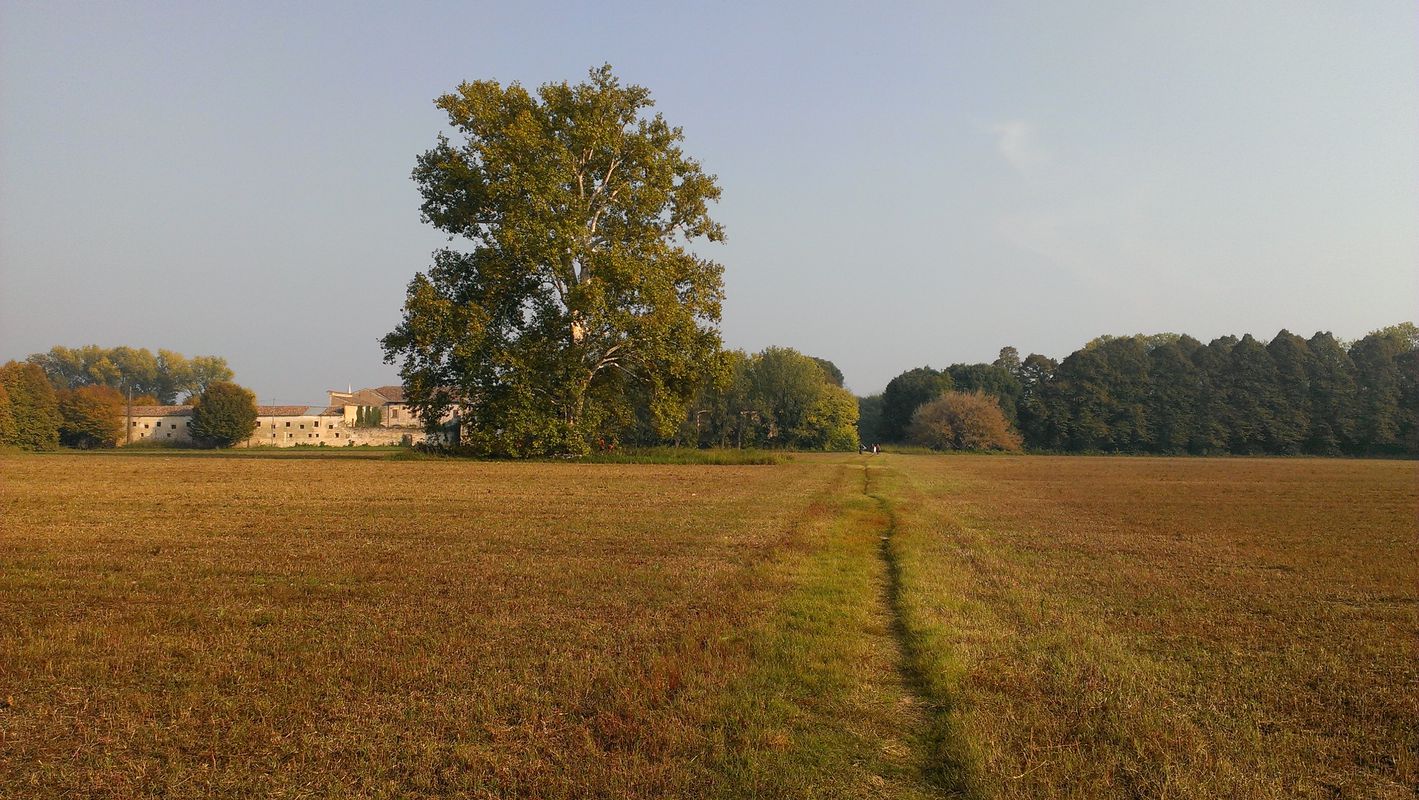 Fiumi Tergola, Muson e Brenta