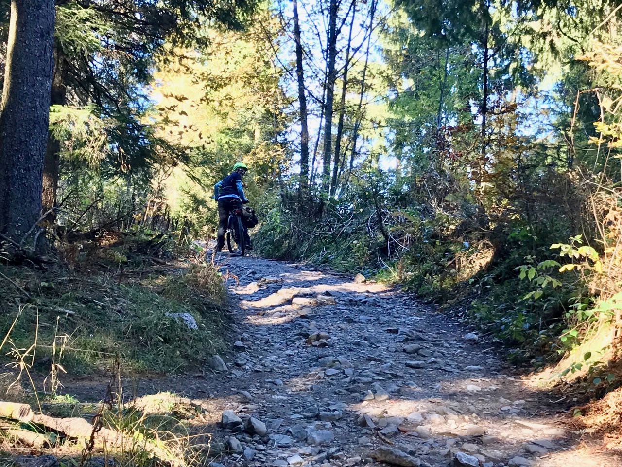 Dannerbruck-Bühla Alp-Gräsa-Bregenzer Hütte-Bödele-Schwende-Eisenharz-Dannerbruck