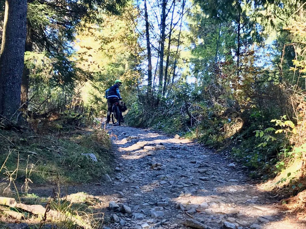 Dannerbruck-Bühla Alp-Gräsa-Bregenzer Hütte-Bödele-Schwende-Eisenharz-Dannerbruck