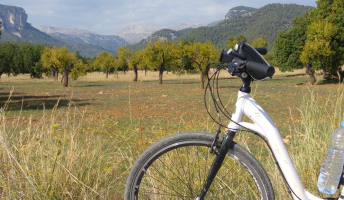 Foto 1 der Bikemap-Route "Mallorca: Inca-Lloseta-Palma"