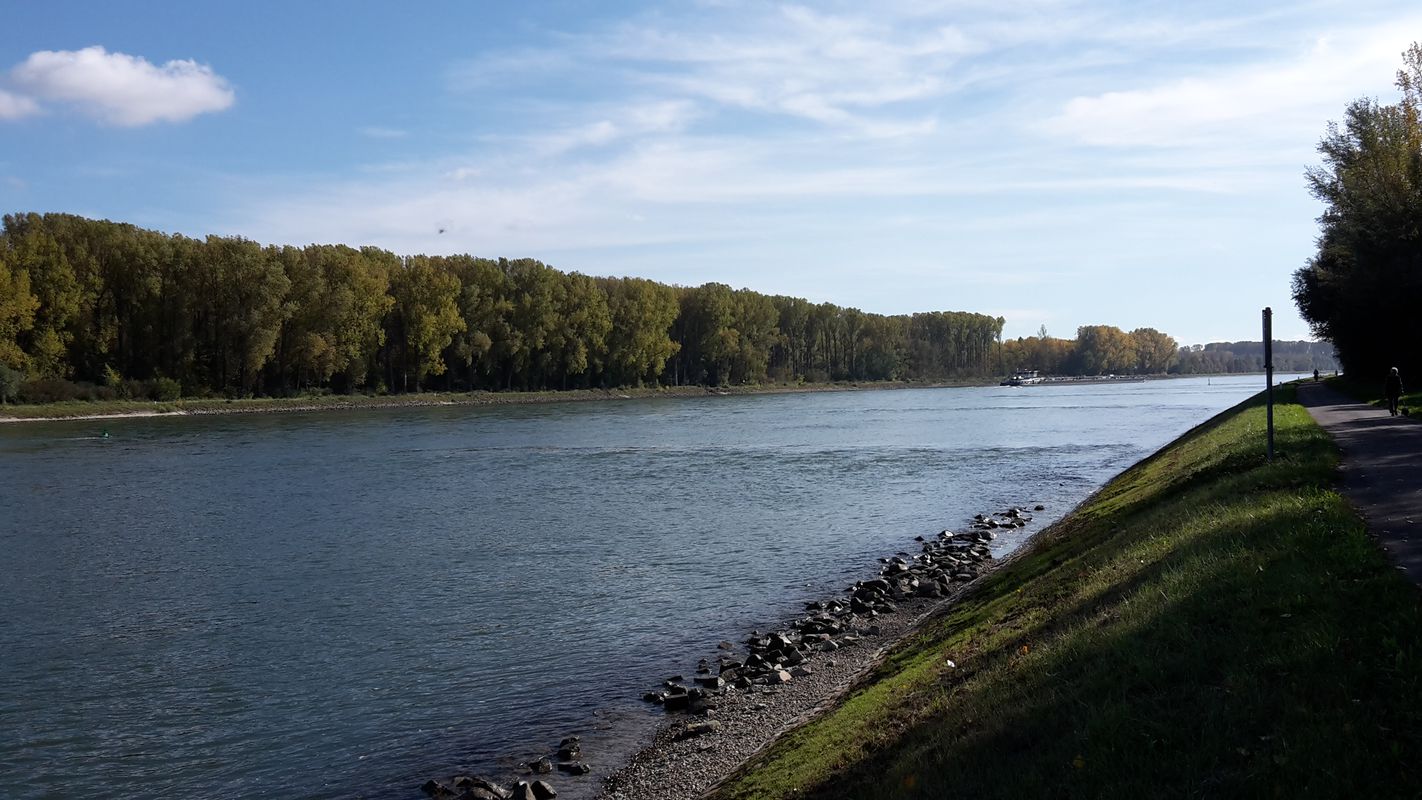 Neupotz - Rheinzabern - Germersheim - Neupotz