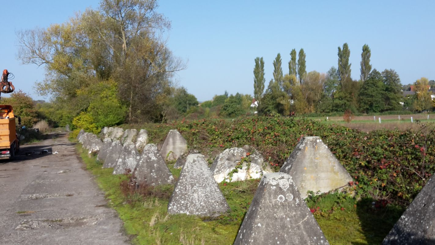 Minfeld - Bad Bergzabern - Minfeld