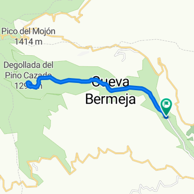 Barranco de Guayadeque