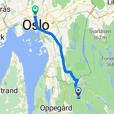 Vet-adamstua