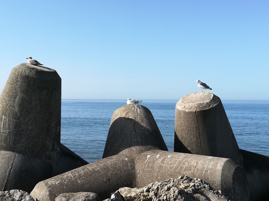 Caminha - Viana - Esposende - Povoa - Alfena