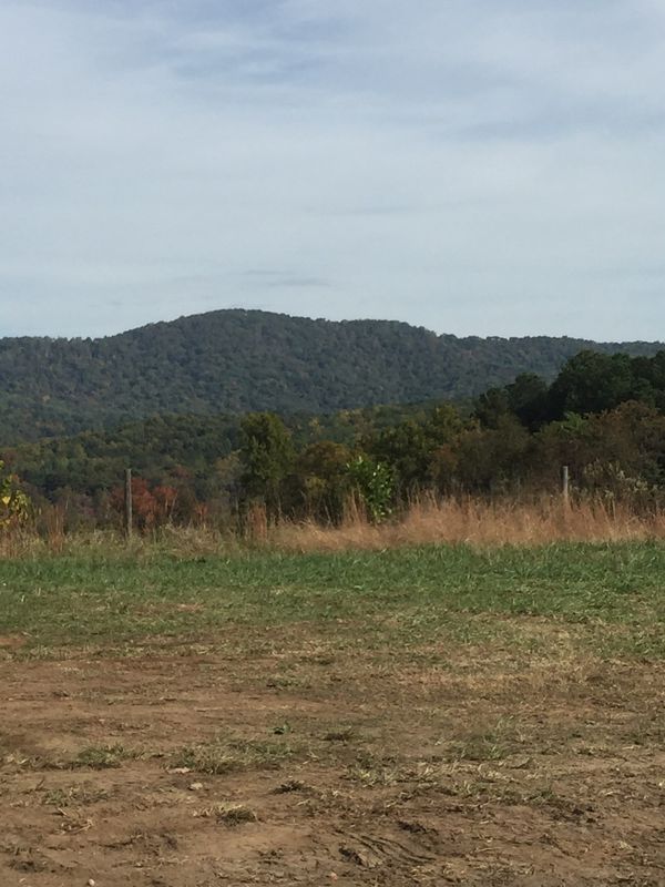 sugar hollow 1