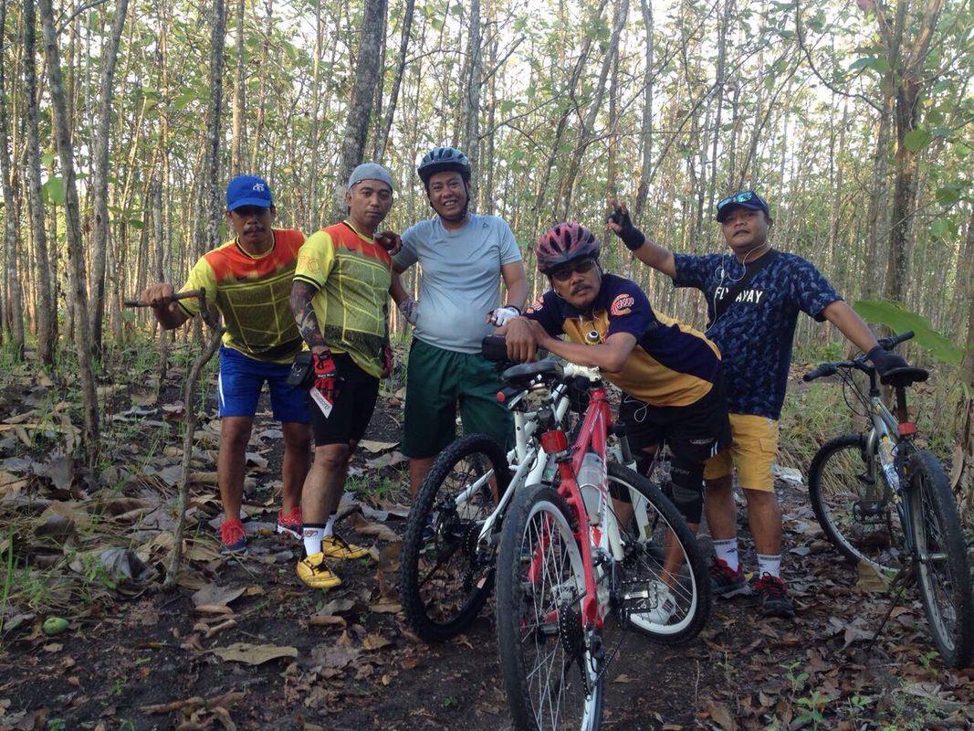 kawasan perkebunan mangga bongso