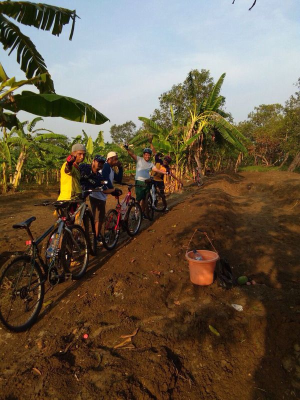 kawasan perkebunan mangga bongso