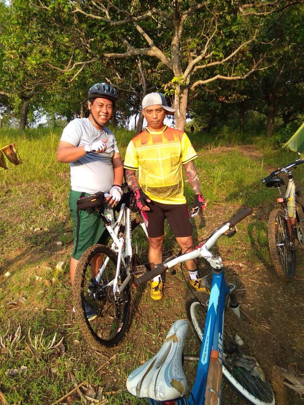 kawasan perkebunan mangga bongso