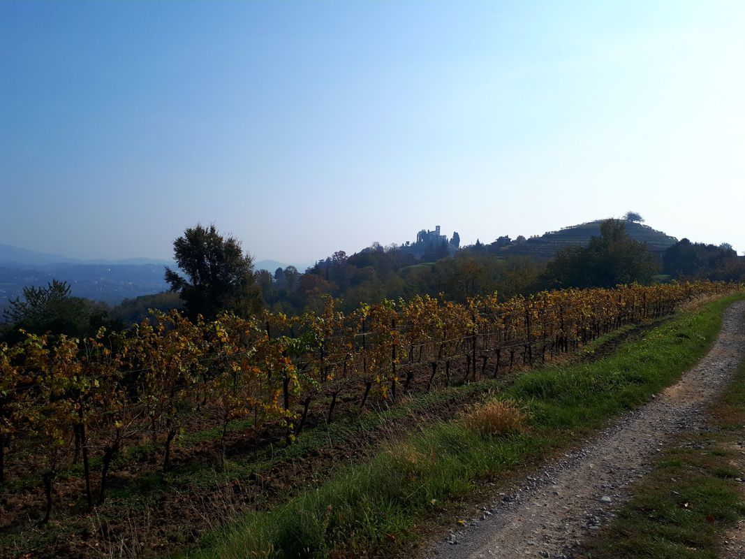 Montevecchiai