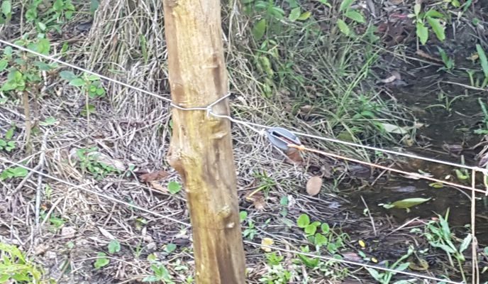 Photo 1 de l’itinéraire Bikemap « Iguape a Cananéia »