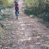 Limski kanal bike trip