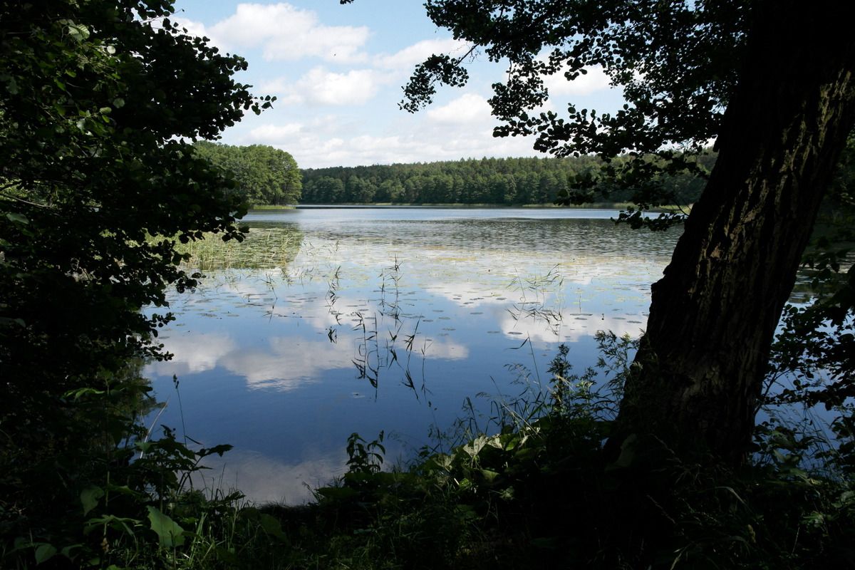 Wąbrzeźno - Ostrowite