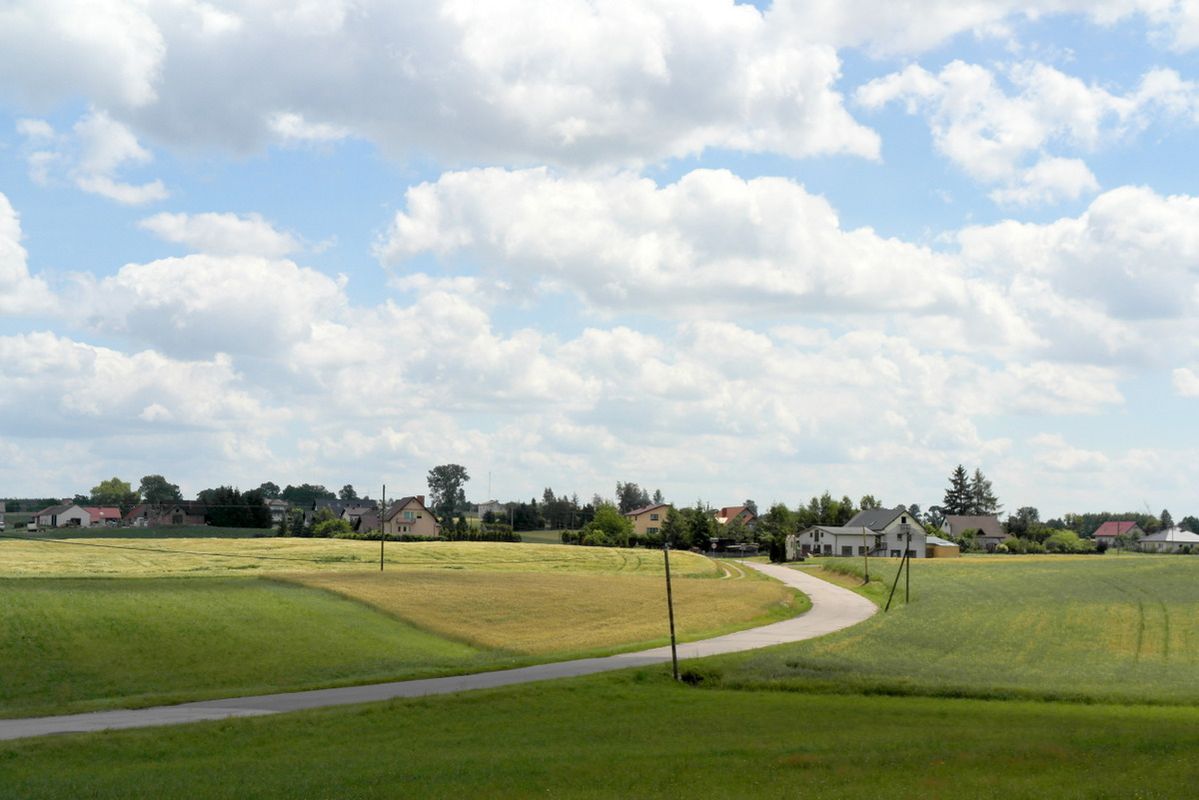 Wąbrzeźno - Ostrowite