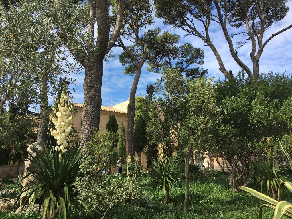 Can Picafort nach Randa und zurück