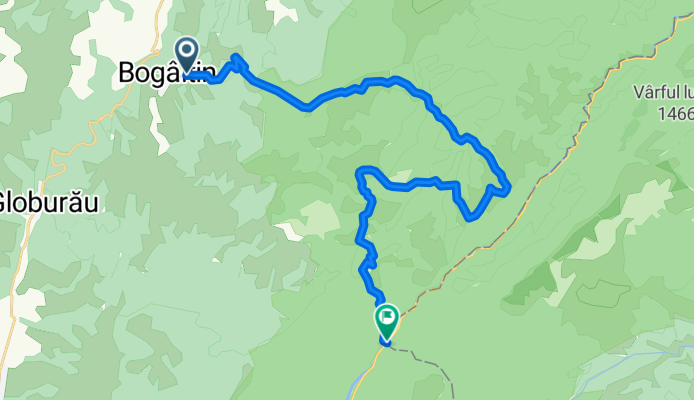 BOGALTIN-PENSIUNEA DUMBRAVA