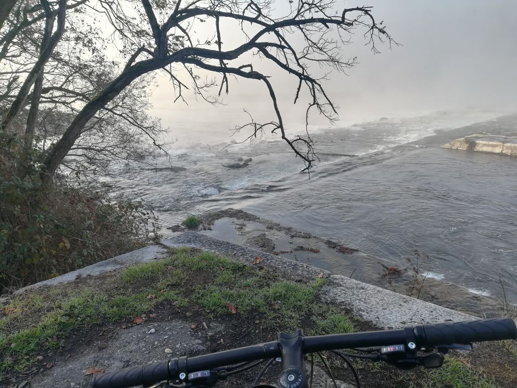 Parco del Ticino magenta