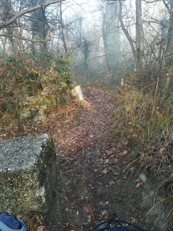 Parco del Ticino magenta