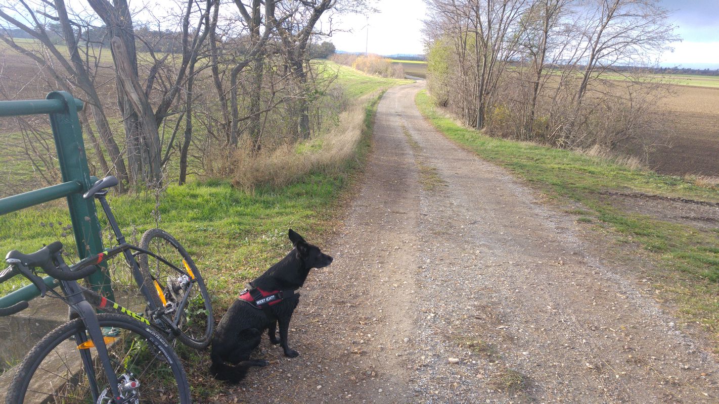 Rußbach mit Hund