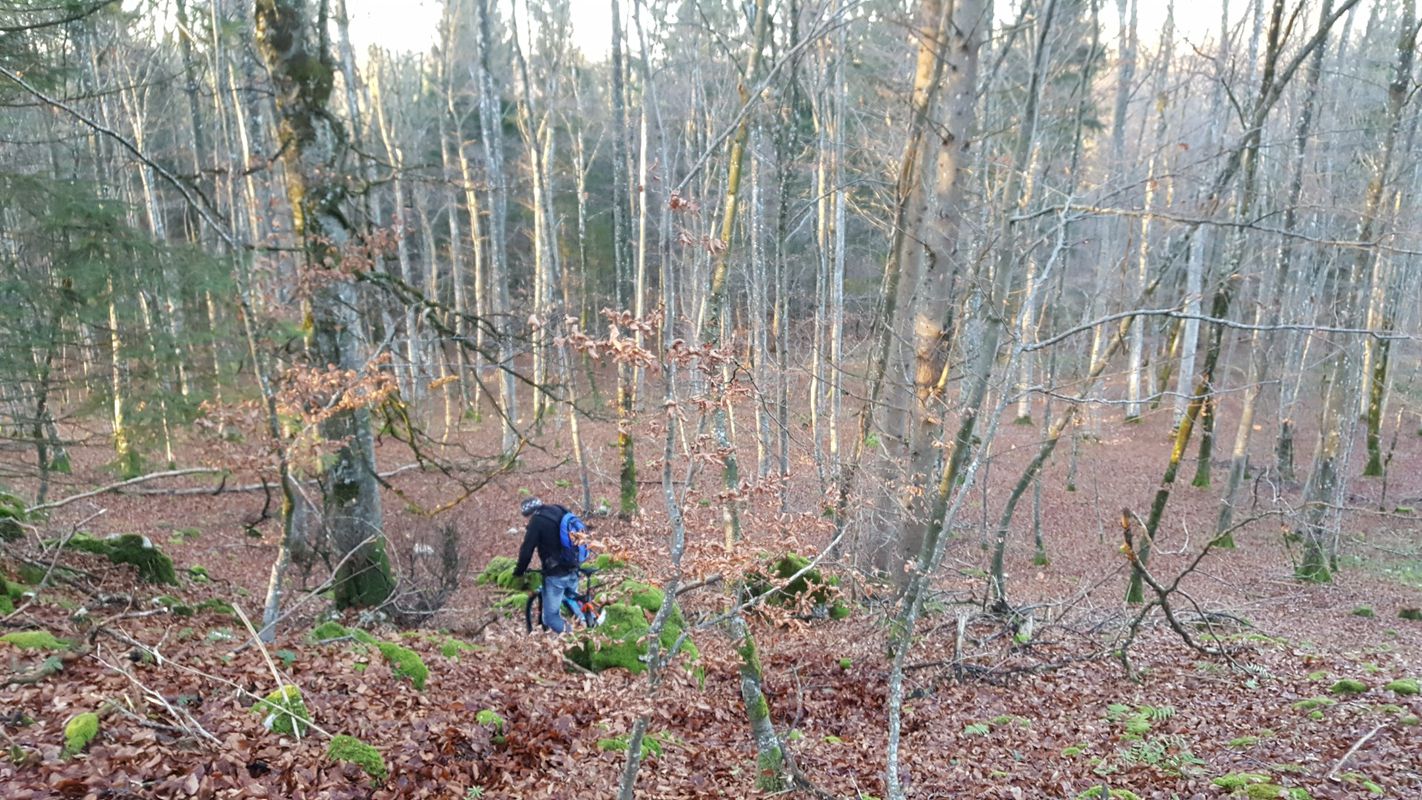 Ausfahrt vom 22. November, 15:37