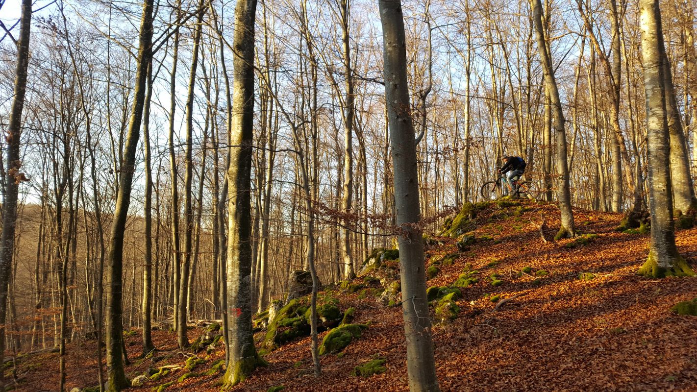 Ausfahrt vom 22. November, 15:37
